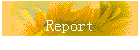 Report